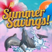Summer Savings - End of Year Specials