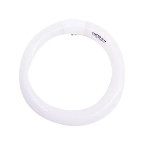 GLOBE 22W 5K CIRCULAR FLUORESCE